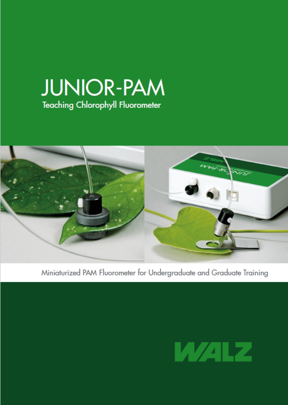 Walz junior_pam