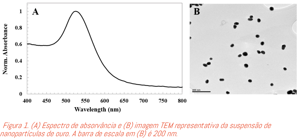 NA_OceanInsight_ERT_maca1