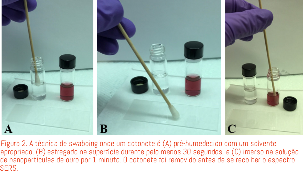 NA_OceanInsight_ERT_maca2
