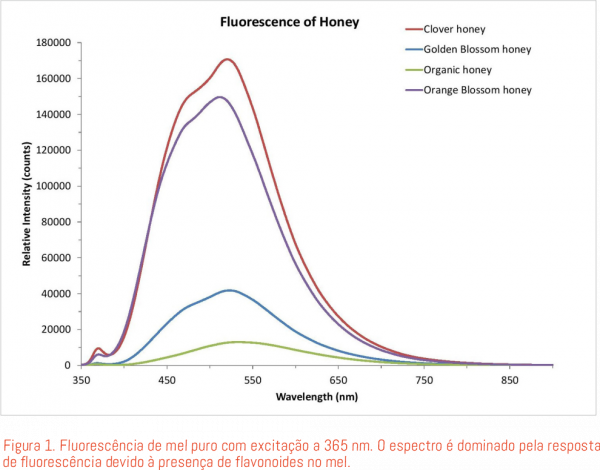 NA_OceanInsight_ERT_mel1